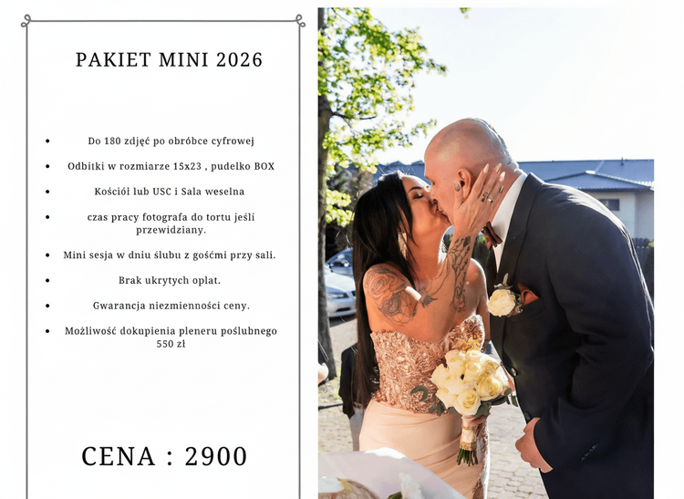 MINI 2026 2900 zl.png